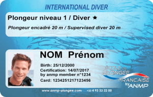 Niveau 1 ANMP carte