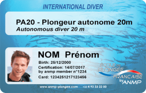 Niveau 2 ANMP PA20 carte