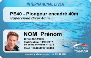 Niveau 2 ANMP PE40 carte