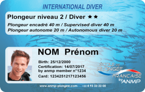 Niveau 2 ANMP carte
